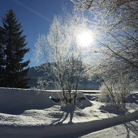 Haus Reiterbauer Апартаменты