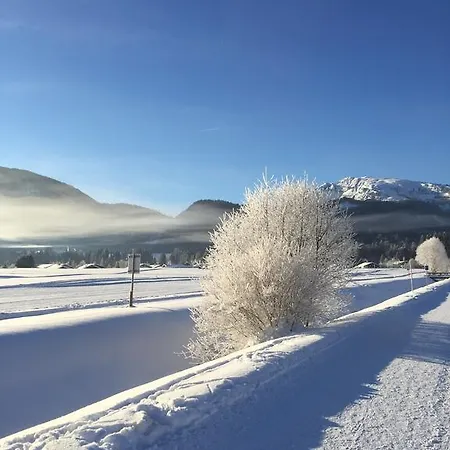 Haus Reiterbauer Апартаменты *