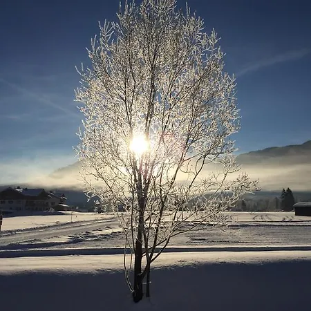 Haus Reiterbauer Διαμέρισμα Reit im Winkl